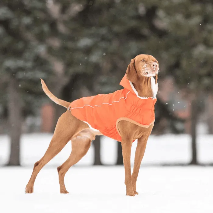 GF Pet Insulated Raincoat Orange For Dogs