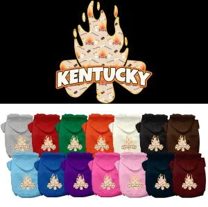 Pet Dog & Cat Screen Printed Hoodie for Medium to Large Pets (Sizes 2XL-6XL), "Kentucky Around The Campfire"